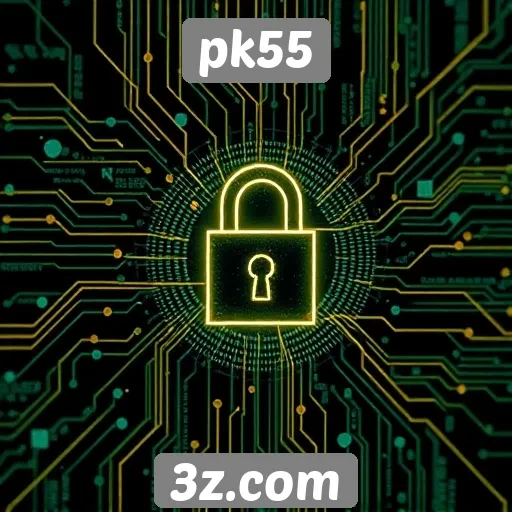 análise de segurança e privacidade no pk55